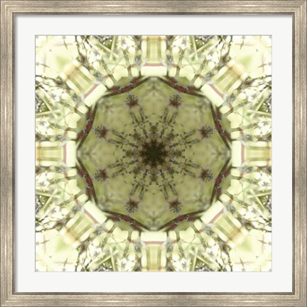 Framed Colorful Kaleidoscope 13 Print