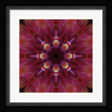 Framed Colorful Kaleidoscope 14 Print