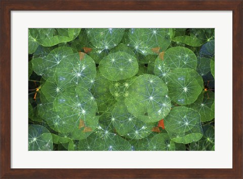 Framed Colorful Kaleidoscope 16 Print