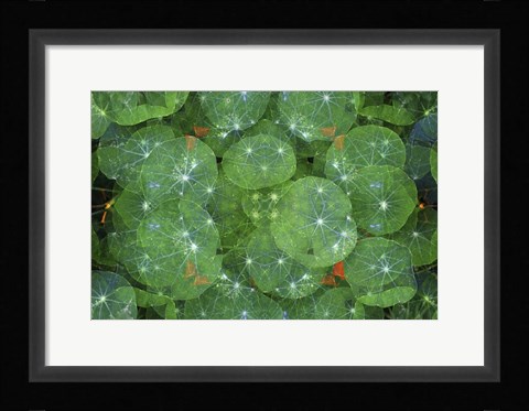 Framed Colorful Kaleidoscope 16 Print