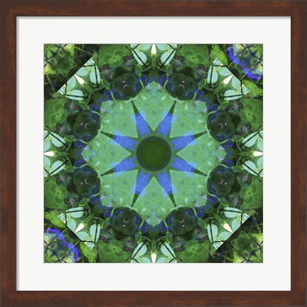 Framed Colorful Kaleidoscope 17 Print