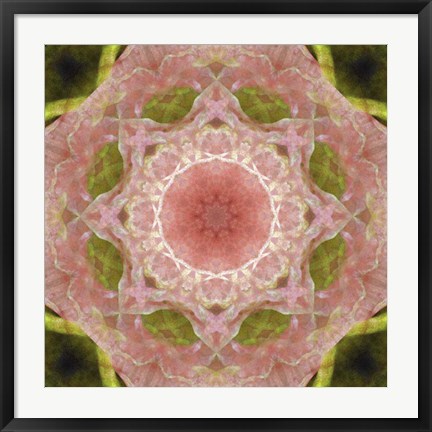 Framed Colorful Kaleidoscope 20 Print