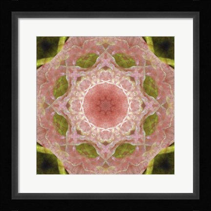Framed Colorful Kaleidoscope 20 Print