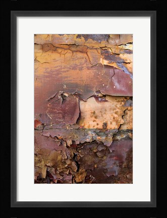 Framed Graffiti and Rust on Old Train Cars Print