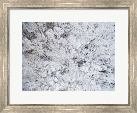 Framed Aerial View of Snow-Covered Trees, Marion County, Illinois Print