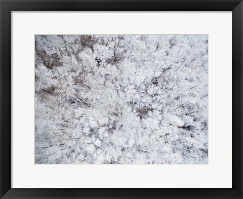 Framed Aerial View of Snow-Covered Trees, Marion County, Illinois Print