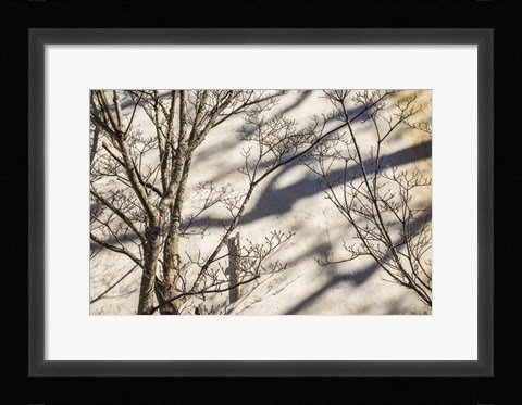 Framed Wall Detail, Nantucket Island Print