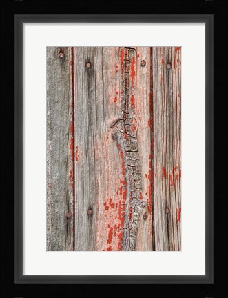 Framed Close-up of Knot Hole Print