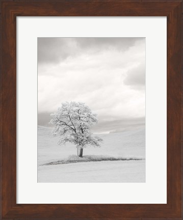 Framed Infrared of Lone Tree in Wheat Field 1 Print