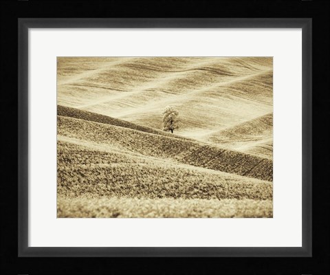 Framed Infrared of Lone Tree in Wheat Field 2 Print