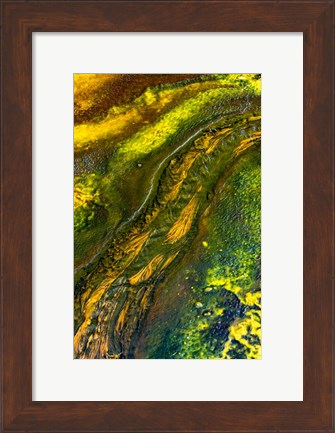 Framed Run-off at Pump Springs, Yellowstone National Park Print