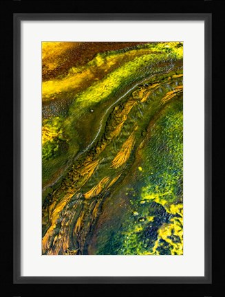 Framed Run-off at Pump Springs, Yellowstone National Park Print