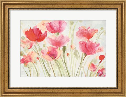 Framed Blush Poppies Print
