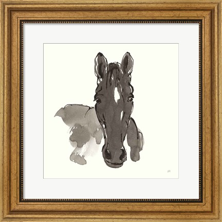 Framed Horse Portrait IV Print