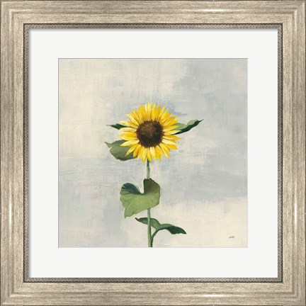 Framed Sunny Blooms II Print