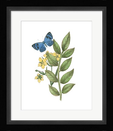 Framed Greenery Butterflies IV Print