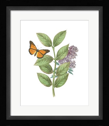 Framed Greenery Butterflies III Print