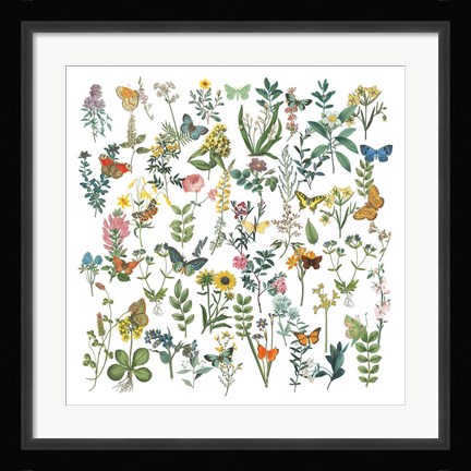 Framed Flowers and Butterflies Print
