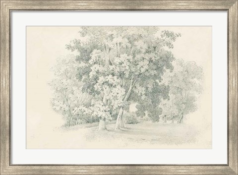 Framed Edge of the Woods Sketch Print