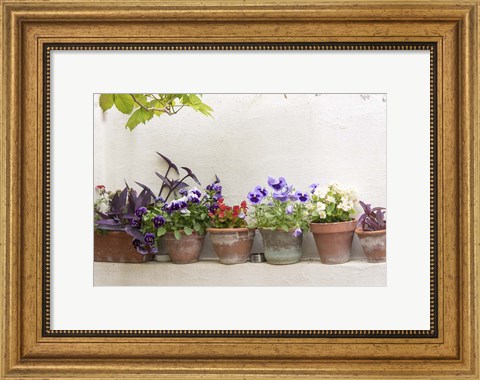 Framed Attractive Flowers In Clay Pots Print