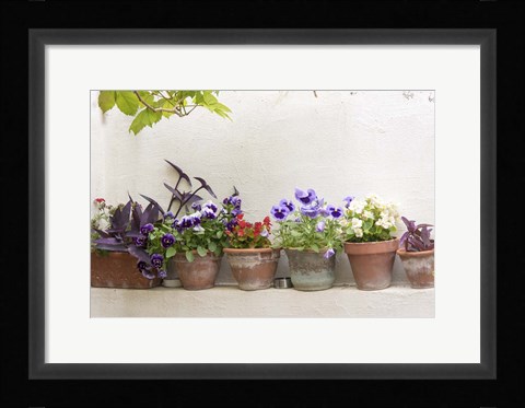 Framed Attractive Flowers In Clay Pots Print