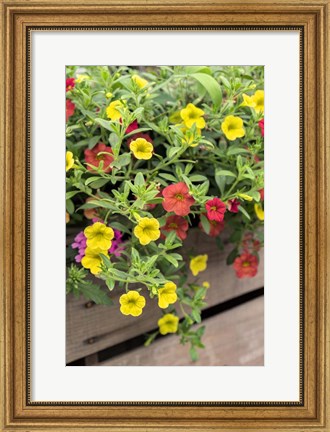 Framed Yellow And Red Million Bells Print