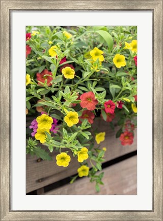 Framed Yellow And Red Million Bells Print
