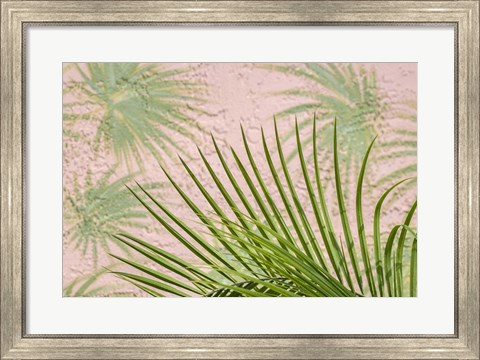 Framed Areca Palm In Front Of Painter Palm Mural Print