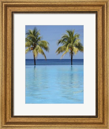 Framed Infinity Pool Surrounded By Palm Trees Print