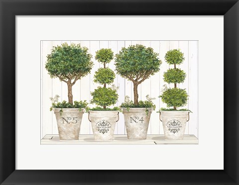 Framed Topiary Still Life Print