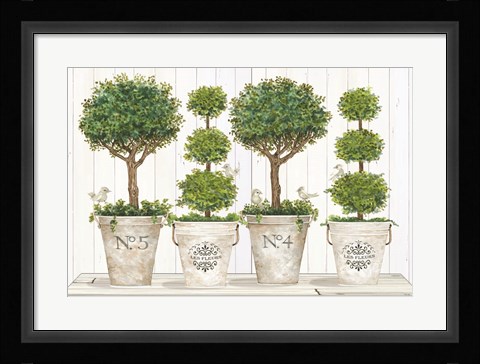 Framed Topiary Still Life Print