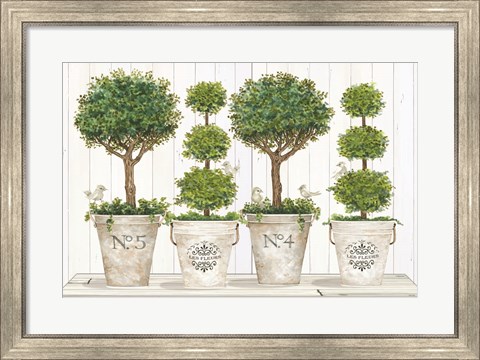 Framed Topiary Still Life Print