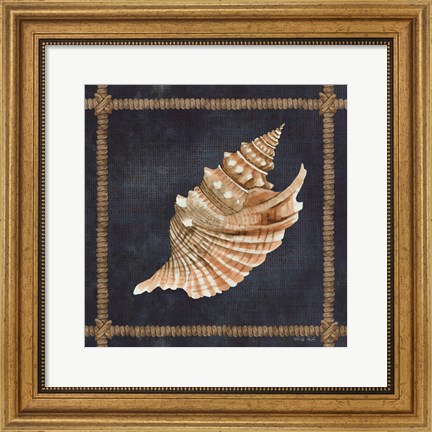 Framed Seashell on Navy V Print