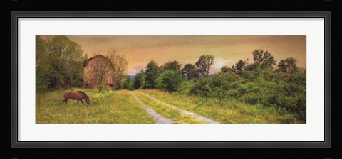 Framed Good Grazing Print