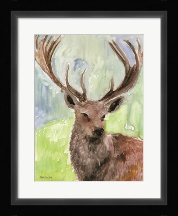 Framed Pacific Coast Wildlife 6 Print