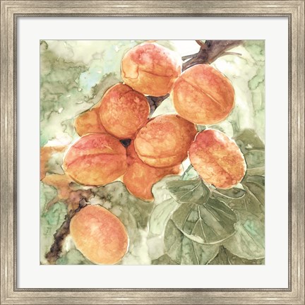 Framed Peach Branch Print