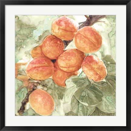 Framed Peach Branch Print