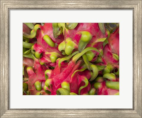 Framed Dragon fruit Print