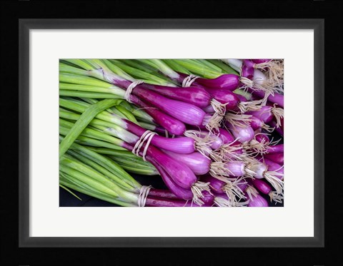 Framed Purple Scallions Print