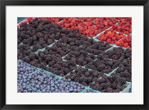 Framed Colorful Berries Print