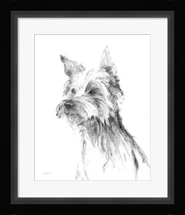 Framed Yorkshire Terrier Sketch Print