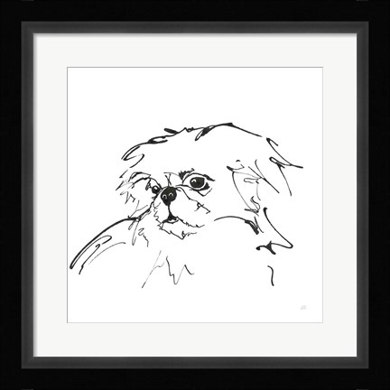 Framed Line Dog Pekingese Print
