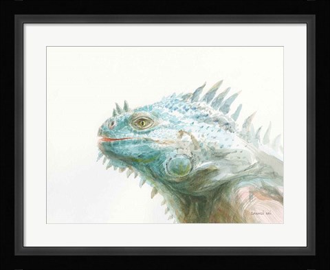 Framed Tropical Iguana Print