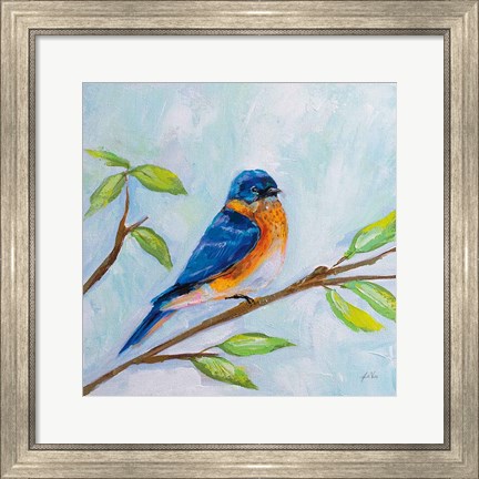 Framed Bluebird Print