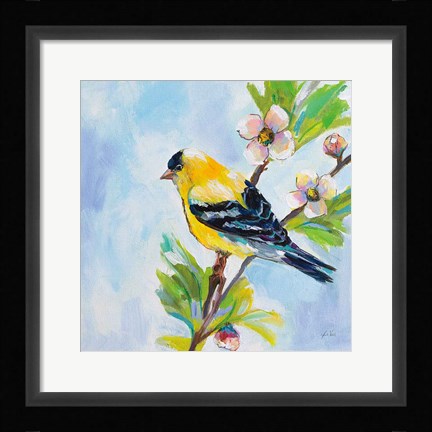 Framed Golden Finch Print