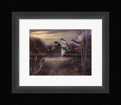 Framed Morning Call Print