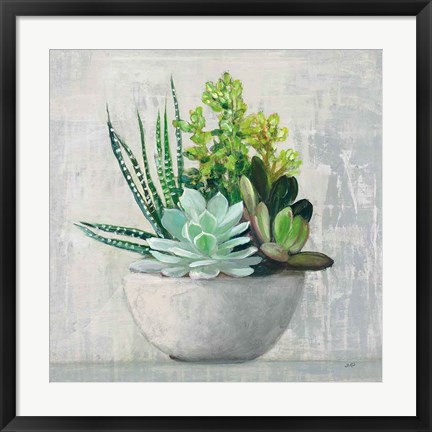 Framed Succulent Still Life II Print