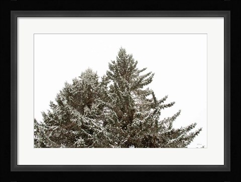 Framed Snow on Treetops Print