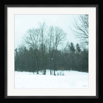 Framed Snowfall Print
