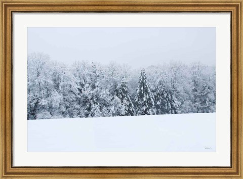 Framed Snowshoe Hill Print